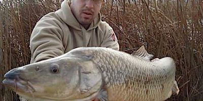 Huge barbel possible world record.jpeg